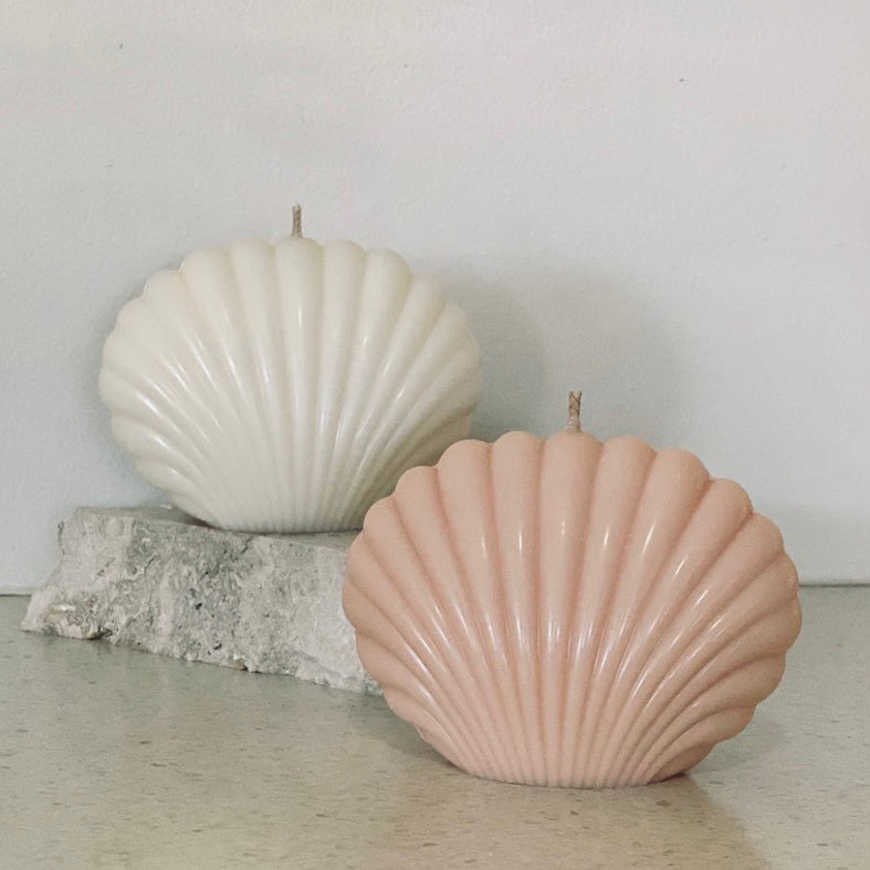 Sea Shell